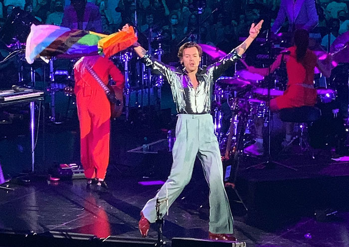 &ldquo;Harry Styles, You've Changed&rdquo;: Fans Outraged At The Prices Of Harry Styles' New Tour Tickets