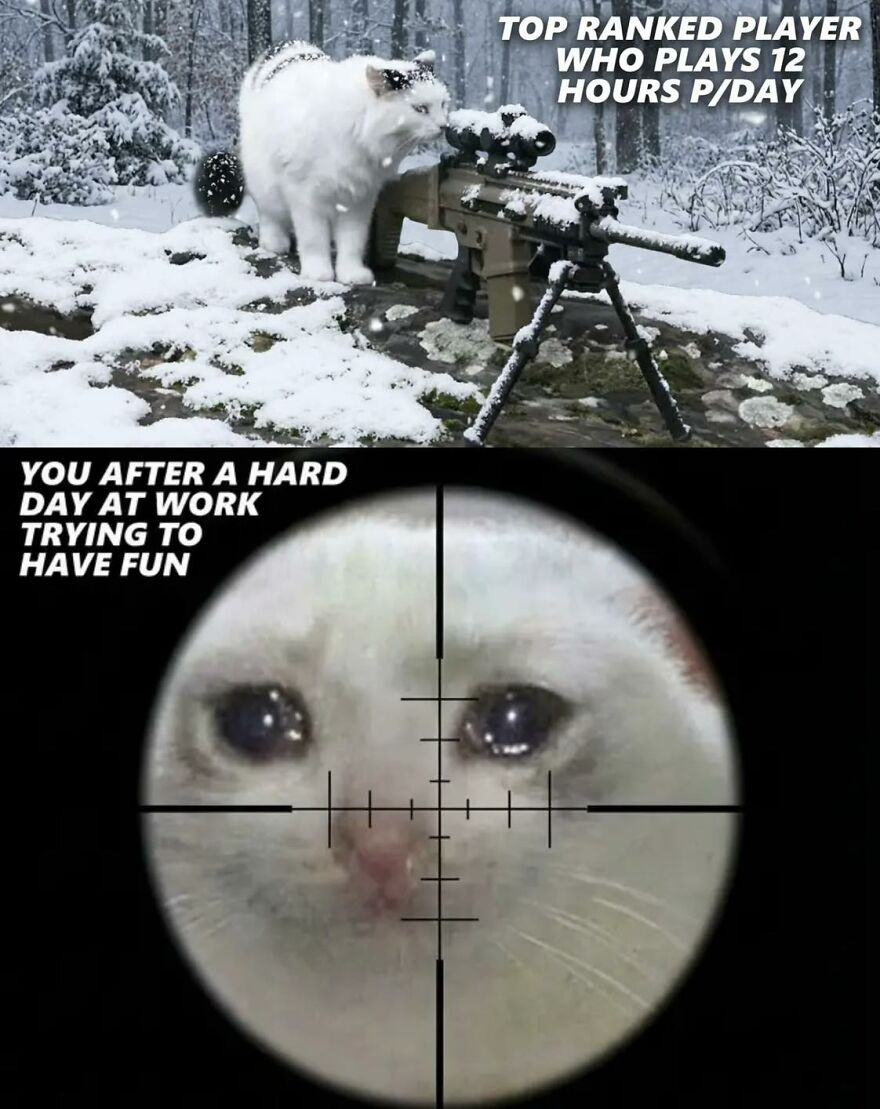 White cat on snowy sniper rifle contrasted with sad cat in crosshairs, depicting exhausted adults who just want to play video games.