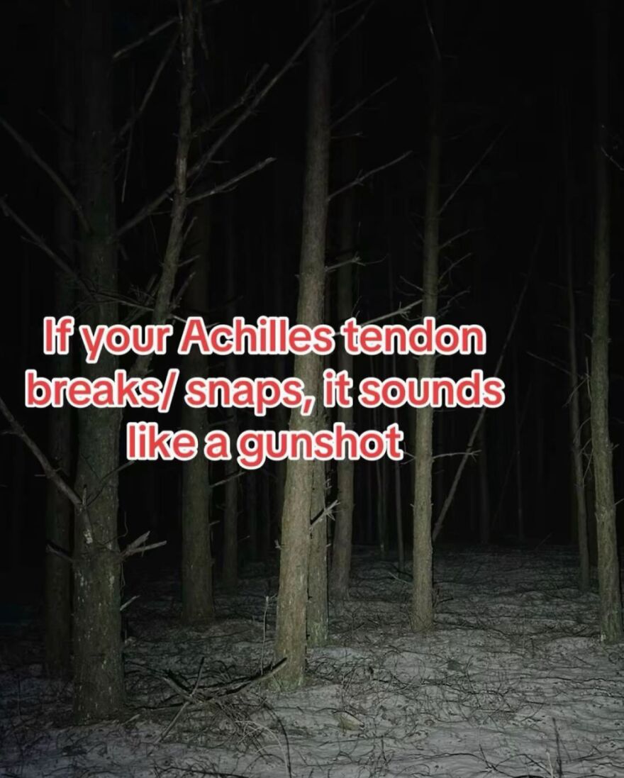 Dark forest at night with text about Achilles tendon snapping sounding like a gunshot, highlighting scary bones facts.