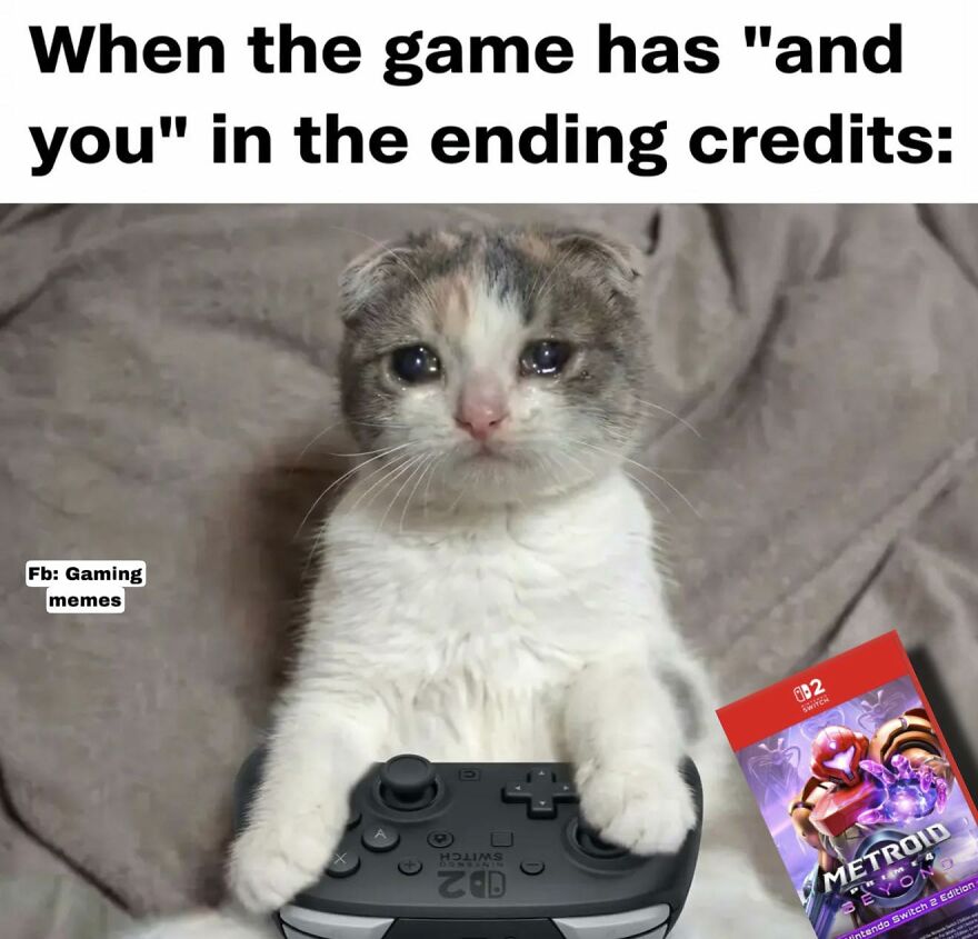 Sad kitten holding a Nintendo Switch controller with Metroid game, illustrating exhaustion in relatable video game memes for adults.