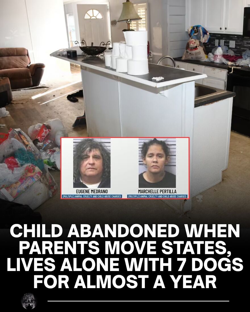 Messy kitchen scene related to a child abandoned with dogs, highlighting scary facts about bones and health.