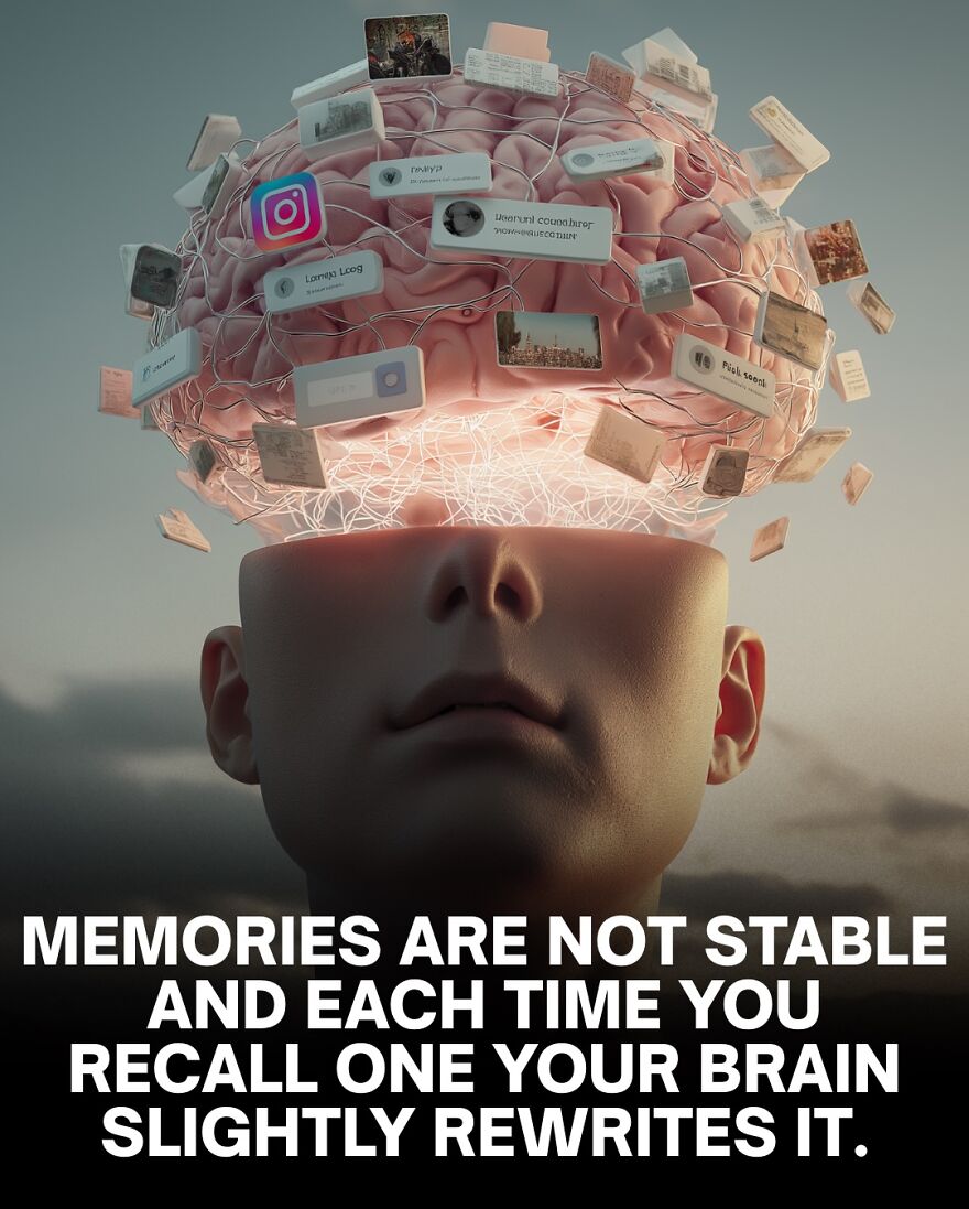 Human head with an open brain displaying digital memories and connections, illustrating bone and brain facts.