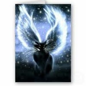 tammytomlinson68 avatar