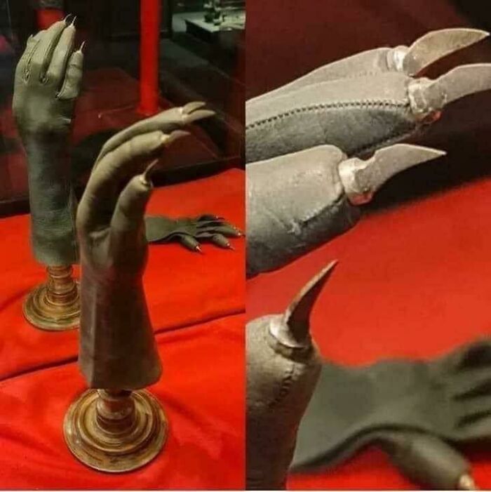 Creepy prosthetic glove with long, sharp claws displayed on a stand, evoking fascination and unease.
