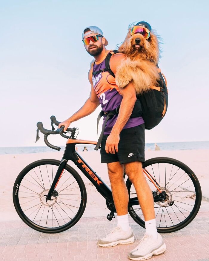 Man with a dog in a backpack wearing colorful sunglasses, posing with a bicycle on a beach during city adventures.