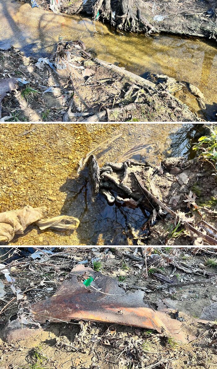 Creepy photos showing decomposed animal remains and rusty debris near a shallow creek in a natural setting.