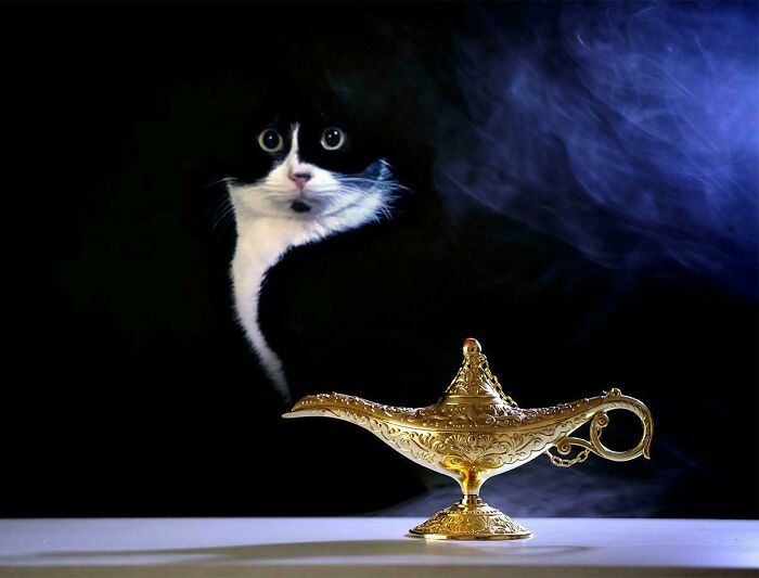 Black and white feline employee with wide eyes emerging like smoke from an ornate golden lamp in a dark setting