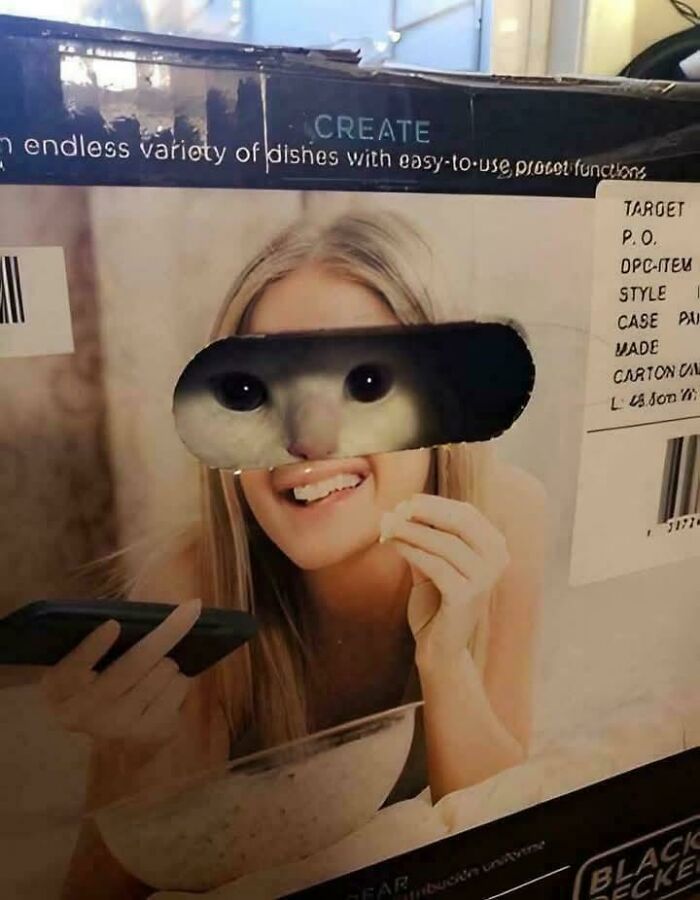 Cat eyes peeking through a box cutout, humorously blending feline features with a smiling human face in a playful scene.