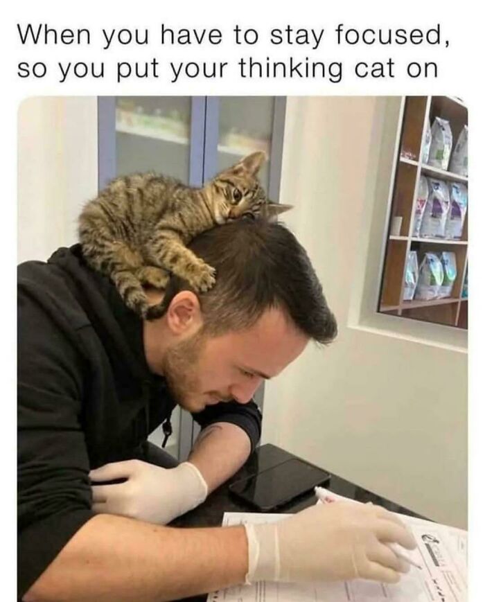 Man wearing gloves focusing on paperwork with a cute feline employee resting on his shoulders in an office setting