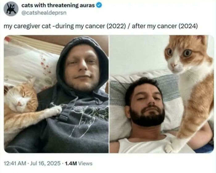 Two images showing a man with his caregiver cat during and after cancer, highlighting cute feline employees.