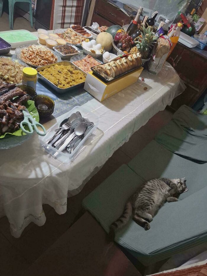 Tabular spread of food with a cute feline employee sleeping on a chair nearby, showcasing adorable feline employees.