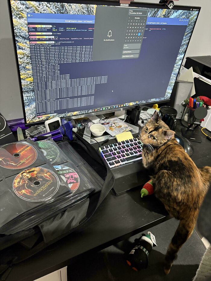 Tortoiseshell cat sitting by computer keyboard and large monitor in a cluttered home office workspace.