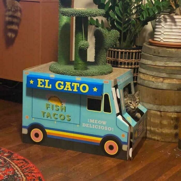 Cat inside a colorful fish tacos themed cardboard truck with a green cat tree and plants in the background.