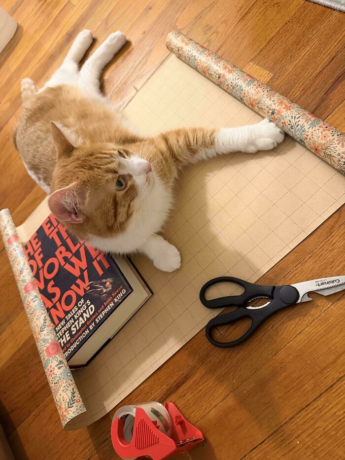 Orange and white cat lying on wrapping paper surrounded by scissors, tape dispenser, and a Stephen King book on wooden floor.