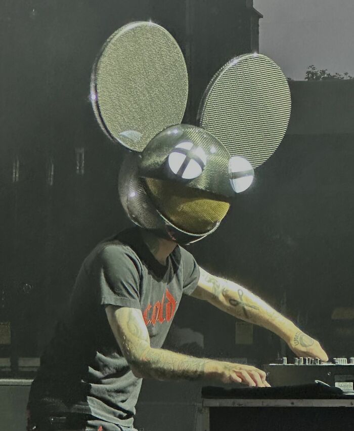 Musician Deadmau5, 45