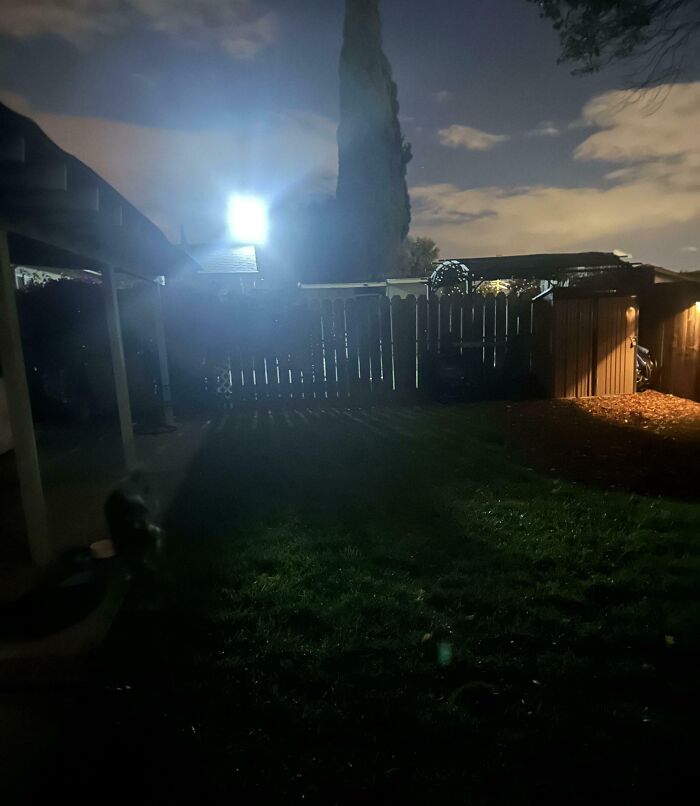 next-level jerks: bright security light shining over backyard fence at night, lawn, shed and tall tree silhouetted
