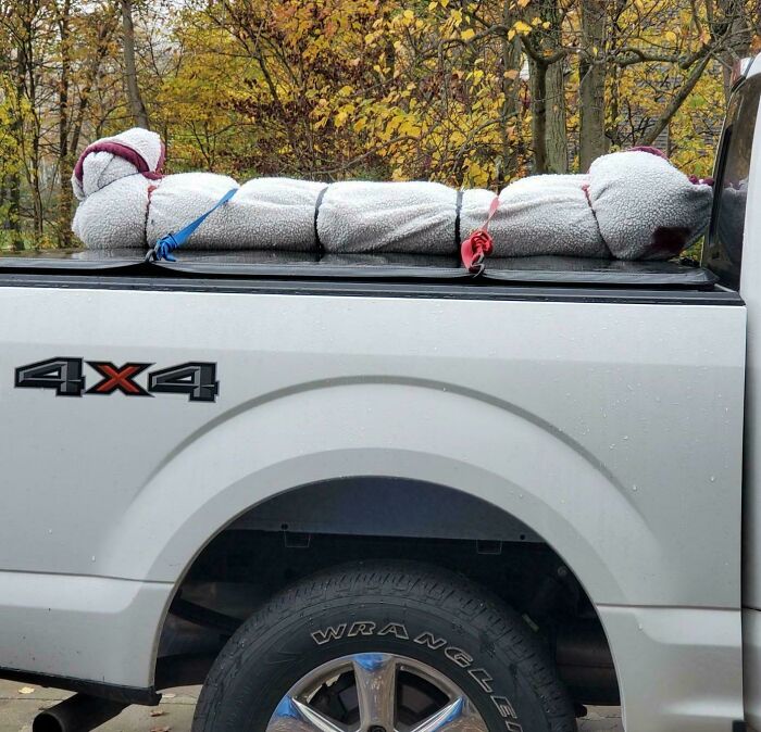 Large teddy bear tied to the back of a white 4x4 truck, creating one of the scariest posts shared online.