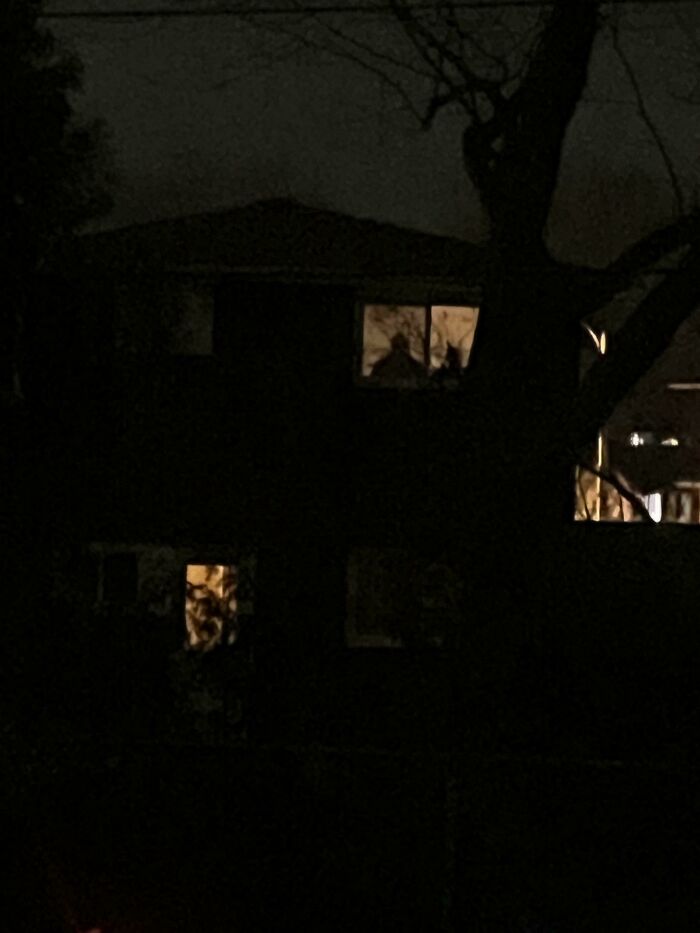 Dark house at night with faint silhouettes in lit windows, creating one of the scariest posts shared online.