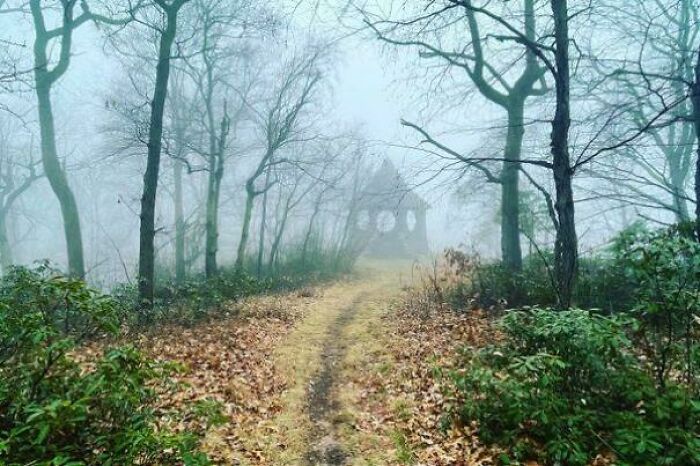 Camino neblinoso en bosque con árboles sin hojas y casa antigua al fondo, evocando sensación de posts aterradores.