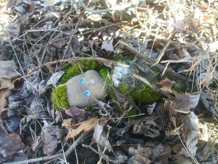 Creepy doll head with blue eyes partially hidden among dead leaves, sticks, and moss in an outdoor setting.