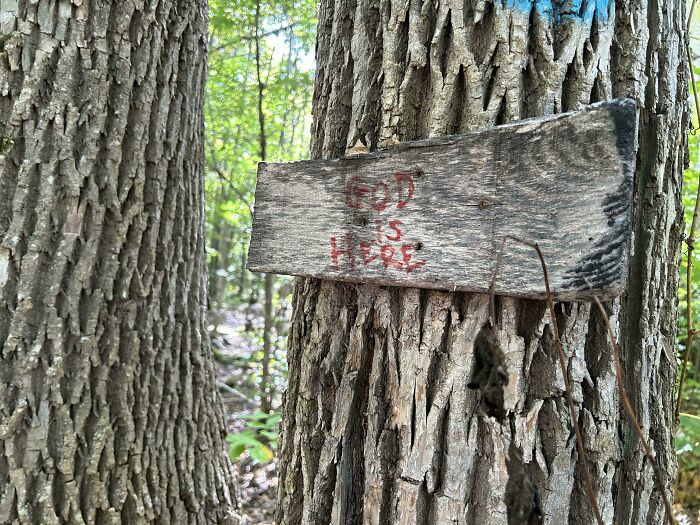 Weathered wooden sign with red faded text on tree bark in forest, fitting the theme of scary posts shared online.