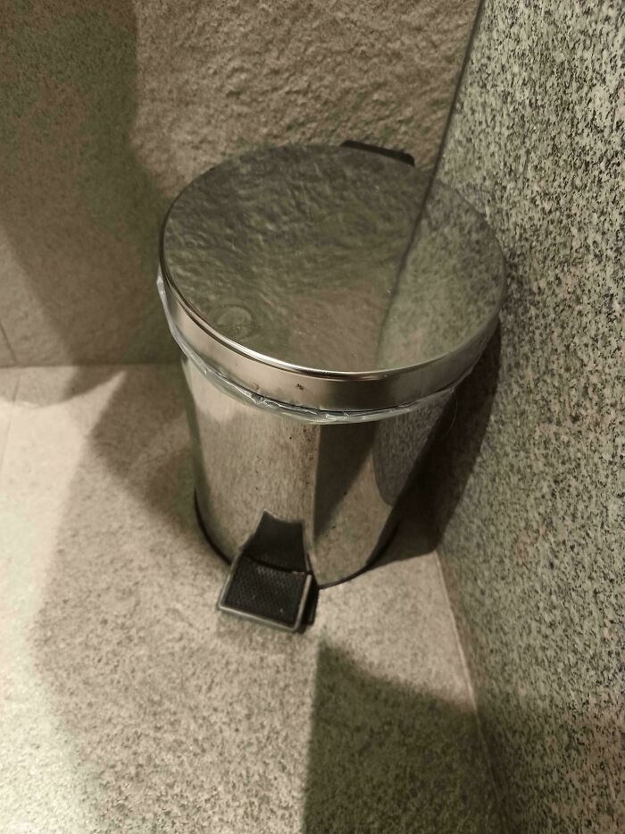 "Women Are Cats In Disguise": 69 Men Share What They Learned About Women After Living With One