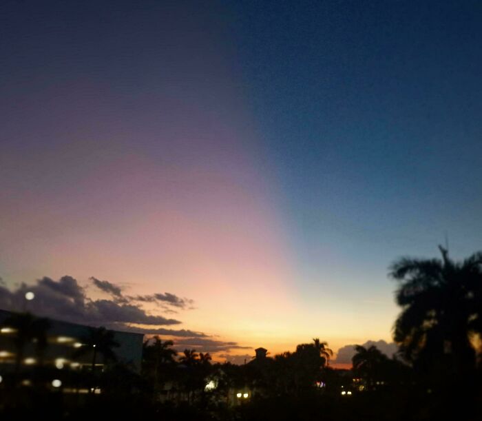 Sunset sky with gradient band and silhouetted palm trees over city, evoking glitches in the matrix.