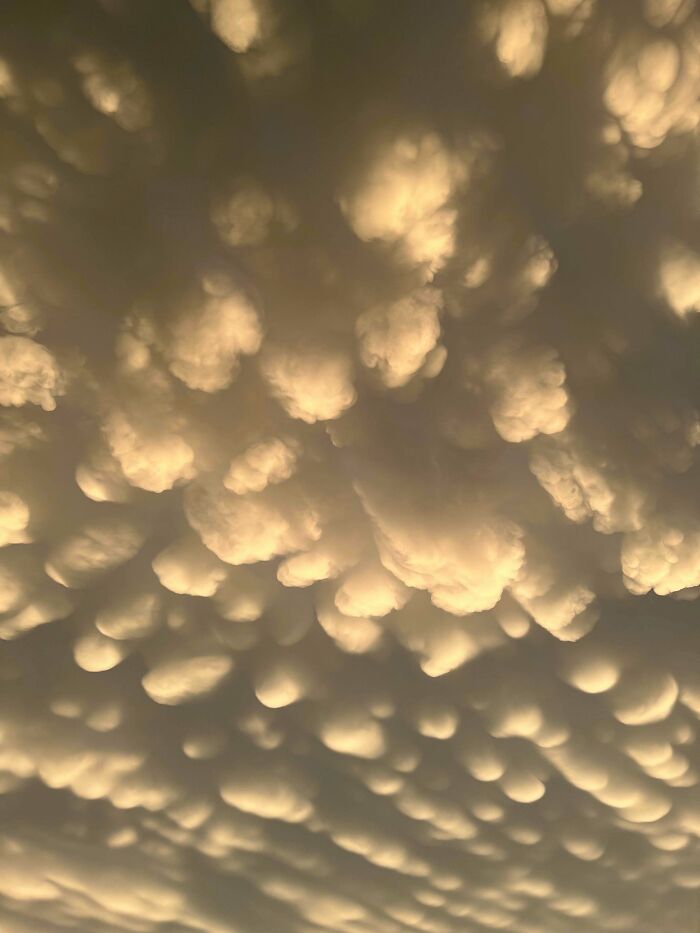 Golden mammatus clouds at sunset resembling glitches in the matrix, puffy rounded cloud formations