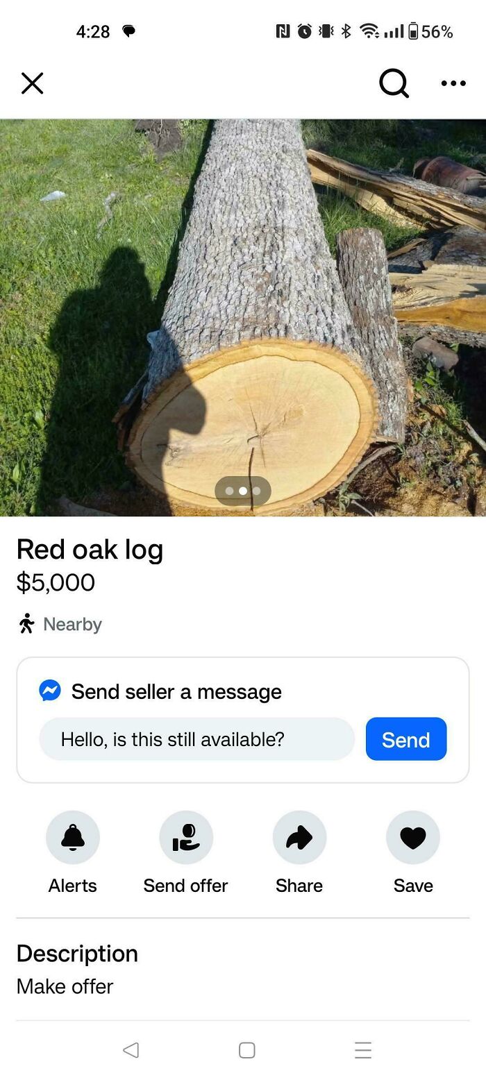 Large red oak log listed for $5,000 on marketplace, example of unhinged things sold online
