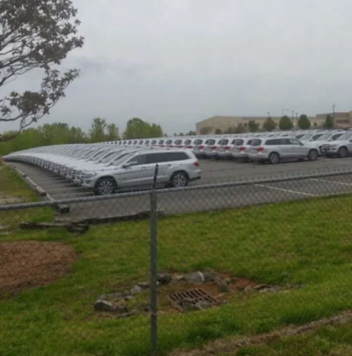 Row of identical white SUVs lined up in a fenced lot under gray sky, repeating pattern suggesting glitches in the matrix