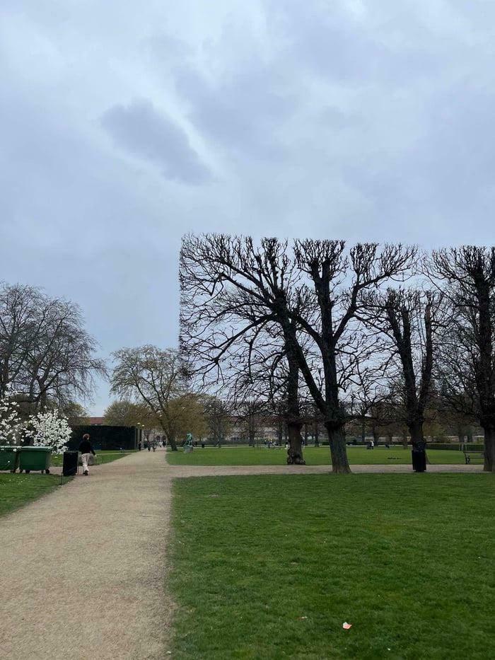 Park with trees pruned into a rectangular block beside a path under overcast sky, evoking glitches in the matrix