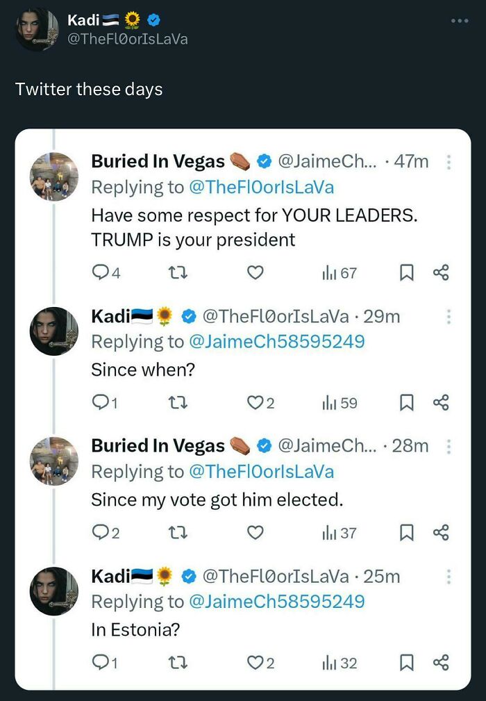 Twitter exchange showing ridiculous American internet comments debating political leaders and votes, fitting internet comments roasted theme.