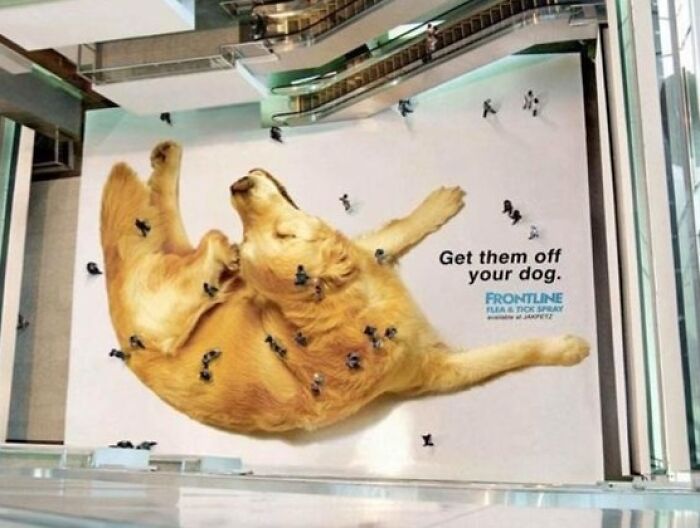 Anuncio gráfico hilarante de una marca creativa con un perro gigante y personas pequeñas simulando garrapatas en un centro comercial.