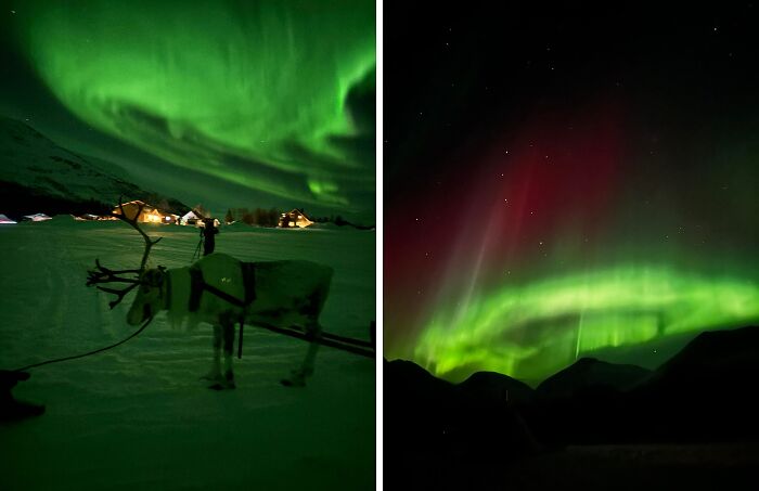 Northern lights display over snowy landscape with reindeer, showcasing impressive natural phenomena countries implemented.