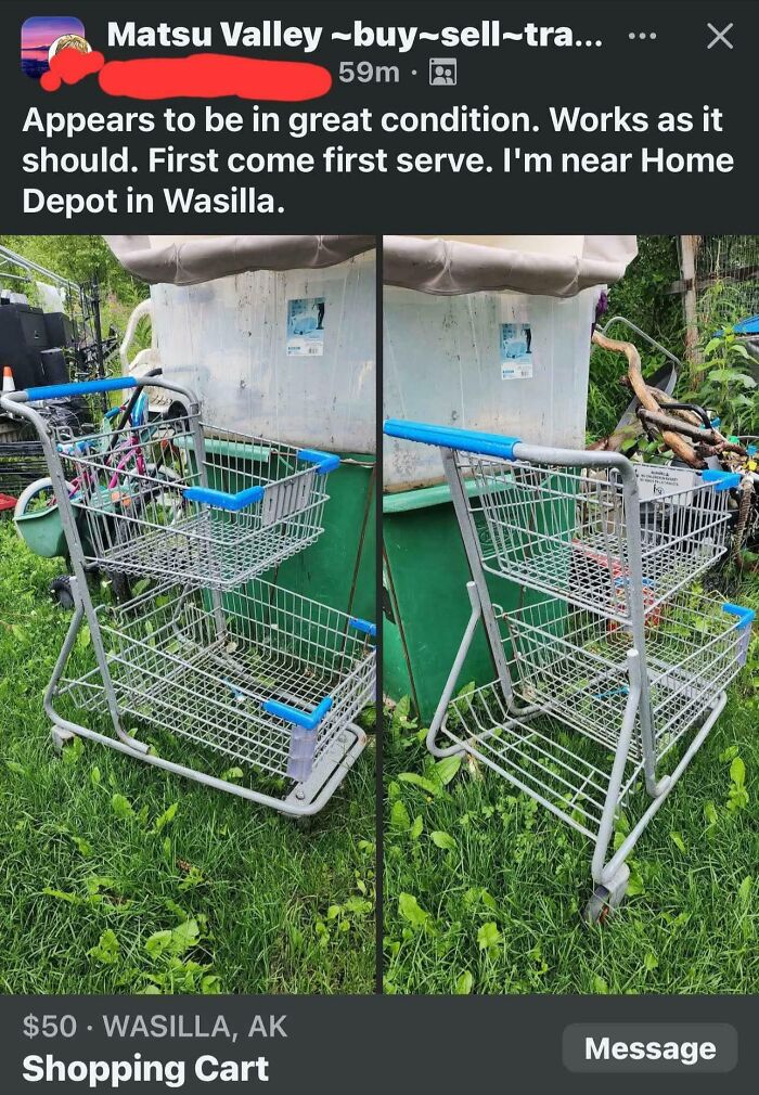 Small two-tier shopping cart on grass by a trash bin, listed among unhinged things people try to sell online.