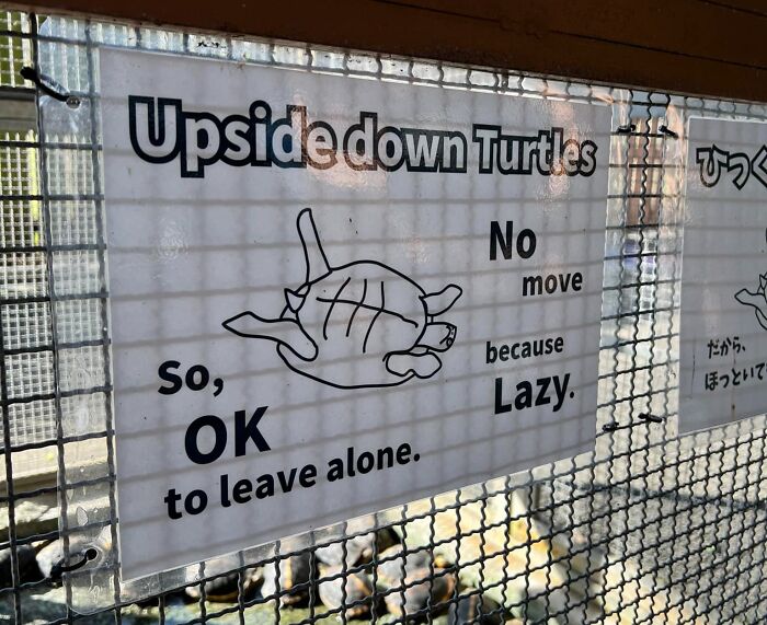 Sign showing funny English translation about upside down turtles, illustrating Japan getting lost while translating to English.