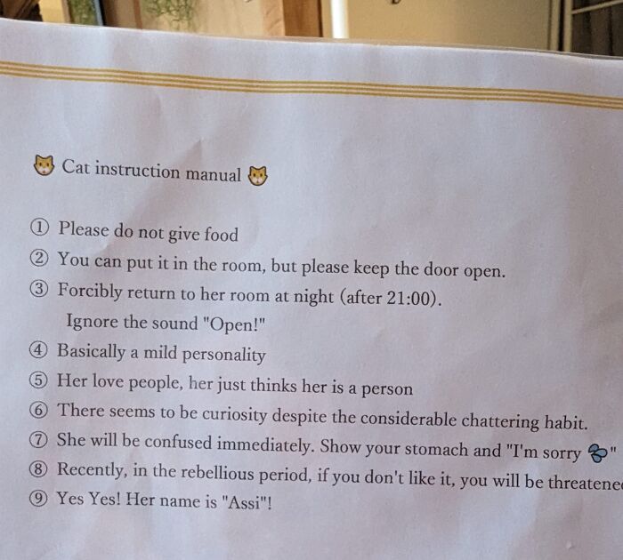 Cat instruction manual with funny and confusing English translation errors from Japan showing translation challenges.