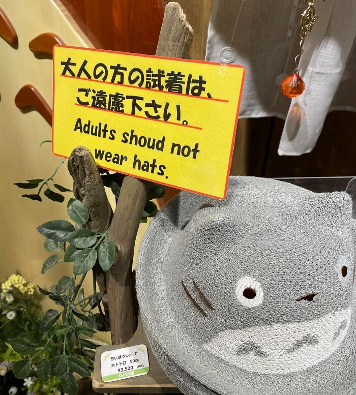 Japanese translation fail with sign saying adults shoud not wear hats next to a cute gray hat shaped like Totoro.