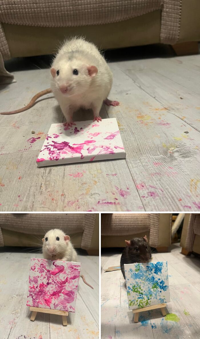 Two pet rats creating small abstract paintings on mini canvases and easels, cute art scene, Amazing Photos