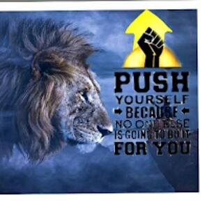 adityaumalkar avatar