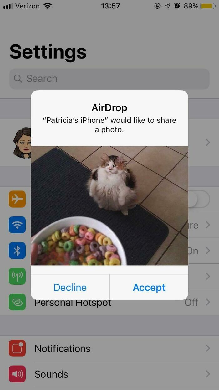 AirDrop prompt showing a fluffy cat sitting on a mat and a bowl of colorful cereal in a funny confusing picture