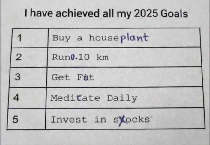 Checklist of confusing funny goals for 2025 including houseplant, running, fitness, meditation, and stocks.