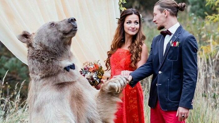 Couple at an outdoor wedding with a large bear dressed in a bow tie, creating an awkward wedding photo moment.