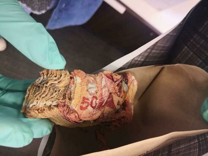 Billetes de 500 deteriorados con moho y humedad, un error costoso que causa pérdida de dinero visible.