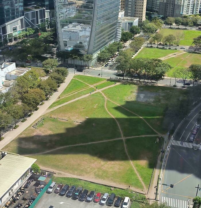 Aerial view of city desire paths crossing a park, showing how people walk differently from planned sidewalks in urban areas.