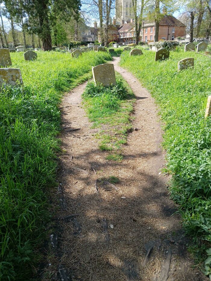 Desire paths winding through a cemetery, showing how people walk in reality versus city planning.