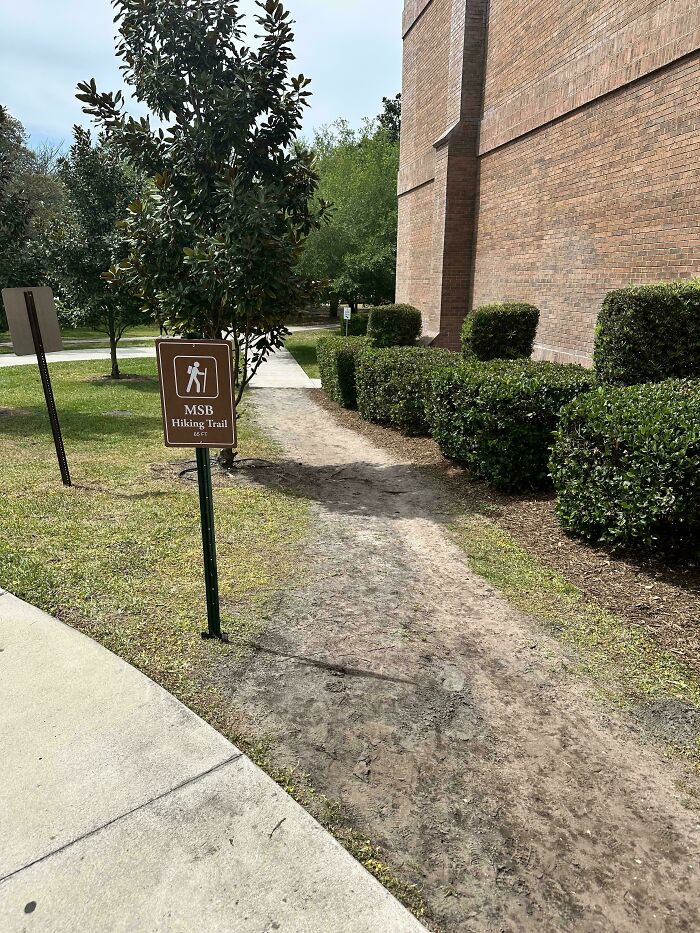 Desire paths showing how people walk in reality beside a planned concrete sidewalk with a hiking trail sign.