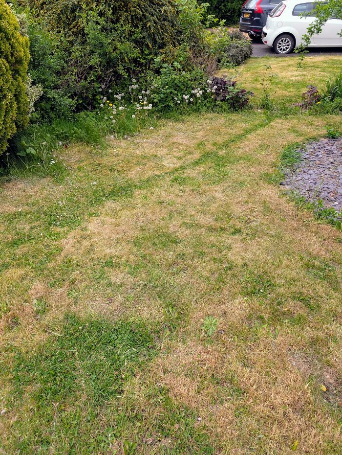 Worn desire path through grass in a residential garden showing how people walk in reality versus city planning.