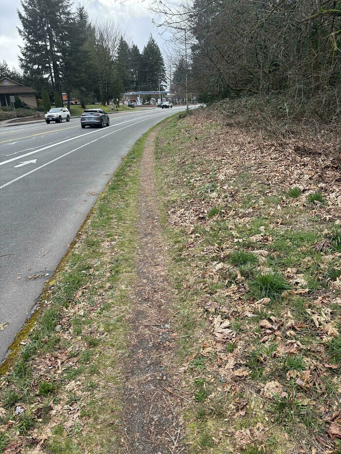 Worn desire path beside a city road showing how people walk differently than planned sidewalks and streets.