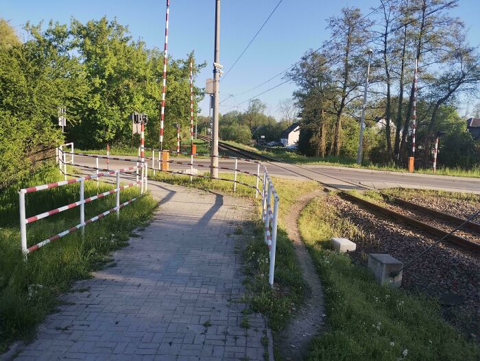 Desire paths next to a paved sidewalk near railroad tracks showing how cities plan versus how people walk in reality